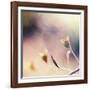 About You-Maria J Campos-Framed Photographic Print