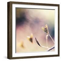 About You-Maria J Campos-Framed Photographic Print