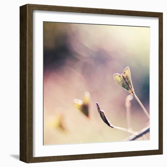 About You-Maria J Campos-Framed Photographic Print