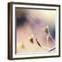 About You-Maria J Campos-Framed Photographic Print