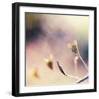 About You-Maria J Campos-Framed Photographic Print