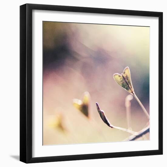 About You-Maria J Campos-Framed Photographic Print