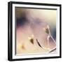 About You-Maria J Campos-Framed Photographic Print