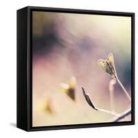 About You-Maria J Campos-Framed Stretched Canvas