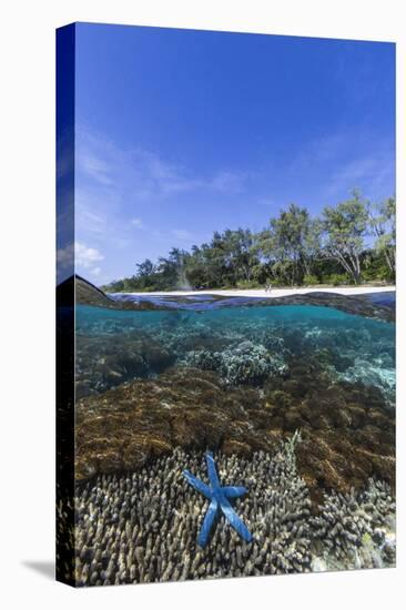 Above and Below View of Coral Reef and Sandy Beach on Jaco Island, Timor Sea, East Timor, Asia-Michael Nolan-Stretched Canvas