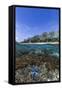 Above and Below View of Coral Reef and Sandy Beach on Jaco Island, Timor Sea, East Timor, Asia-Michael Nolan-Framed Stretched Canvas