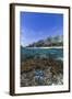 Above and Below View of Coral Reef and Sandy Beach on Jaco Island, Timor Sea, East Timor, Asia-Michael Nolan-Framed Photographic Print