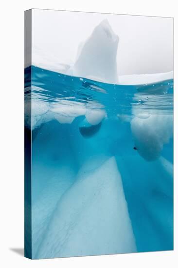 Above and Below View of Glacial Ice in Orne Harbor, Antarctica, Polar Regions-Michael Nolan-Stretched Canvas