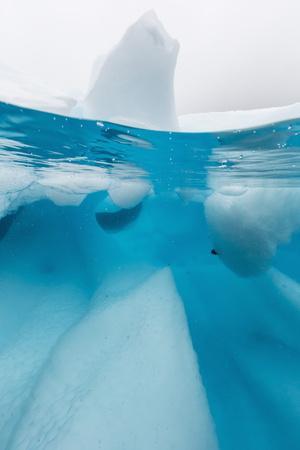 https://imgc.allpostersimages.com/img/posters/above-and-below-view-of-glacial-ice-in-orne-harbor-antarctica-polar-regions_u-L-PSLTGA0.jpg?artPerspective=n