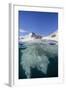 Above and Below View of Glacial Ice in Orne Harbor, Antarctica, Polar Regions-Michael Nolan-Framed Photographic Print