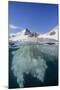 Above and Below View of Glacial Ice in Orne Harbor, Antarctica, Polar Regions-Michael Nolan-Mounted Photographic Print