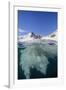 Above and Below View of Glacial Ice in Orne Harbor, Antarctica, Polar Regions-Michael Nolan-Framed Photographic Print