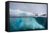 Above and Below View of Glacial Ice Near Wiencke Island, Neumayer Channel, Antarctica-Michael Nolan-Framed Stretched Canvas