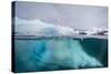 Above and Below View of Glacial Ice Near Wiencke Island, Neumayer Channel, Antarctica-Michael Nolan-Stretched Canvas