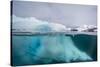 Above and Below View of Glacial Ice Near Wiencke Island, Neumayer Channel, Antarctica-Michael Nolan-Stretched Canvas