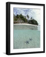 Above and Below View of Mangroves-Stuart Westmorland-Framed Photographic Print