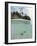 Above and Below View of Mangroves-Stuart Westmorland-Framed Photographic Print