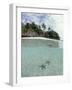 Above and Below View of Mangroves-Stuart Westmorland-Framed Photographic Print