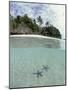 Above and Below View of Mangroves-Stuart Westmorland-Mounted Photographic Print