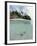 Above and Below View of Mangroves-Stuart Westmorland-Framed Photographic Print