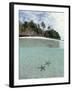 Above and Below View of Mangroves-Stuart Westmorland-Framed Photographic Print