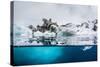 Above and Below Water View of Iceberg at Booth Island, Antarctica, Polar Regions-Michael Nolan-Stretched Canvas