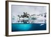 Above and Below Water View of Iceberg at Booth Island, Antarctica, Polar Regions-Michael Nolan-Framed Photographic Print