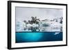 Above and Below Water View of Iceberg at Booth Island, Antarctica, Polar Regions-Michael Nolan-Framed Photographic Print