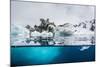 Above and Below Water View of Iceberg at Booth Island, Antarctica, Polar Regions-Michael Nolan-Mounted Photographic Print