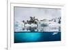 Above and Below Water View of Iceberg at Booth Island, Antarctica, Polar Regions-Michael Nolan-Framed Photographic Print