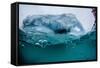 Above and Below Water View of Iceberg at Booth Island, Antarctica, Polar Regions-Michael Nolan-Framed Stretched Canvas