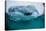 Above and Below Water View of Iceberg at Booth Island, Antarctica, Polar Regions-Michael Nolan-Stretched Canvas