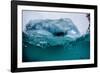 Above and Below Water View of Iceberg at Booth Island, Antarctica, Polar Regions-Michael Nolan-Framed Photographic Print