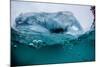 Above and Below Water View of Iceberg at Booth Island, Antarctica, Polar Regions-Michael Nolan-Mounted Photographic Print