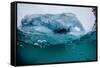 Above and Below Water View of Iceberg at Booth Island, Antarctica, Polar Regions-Michael Nolan-Framed Stretched Canvas