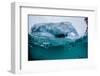 Above and Below Water View of Iceberg at Booth Island, Antarctica, Polar Regions-Michael Nolan-Framed Photographic Print