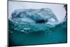 Above and Below Water View of Iceberg at Booth Island, Antarctica, Polar Regions-Michael Nolan-Mounted Photographic Print