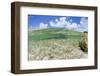 Above and Underwater Photograph, a Large Stingray in Shallow Waters Near Staniel Cay, Bahamas-James White-Framed Photographic Print