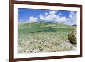 Above and Underwater Photograph, a Large Stingray in Shallow Waters Near Staniel Cay, Bahamas-James White-Framed Photographic Print