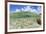 Above and Underwater Photograph, a Large Stingray in Shallow Waters Near Staniel Cay, Bahamas-James White-Framed Photographic Print