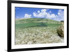 Above and Underwater Photograph, a Large Stingray in Shallow Waters Near Staniel Cay, Bahamas-James White-Framed Photographic Print