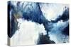 Above Frozen-Kari Taylor-Stretched Canvas