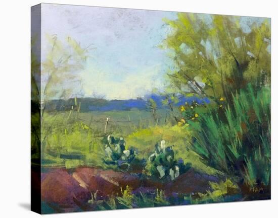 Above San Angelo-Nancie King Mertz-Stretched Canvas