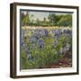 Above the Blue Irises-Timothy Easton-Framed Giclee Print