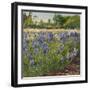 Above the Blue Irises-Timothy Easton-Framed Giclee Print