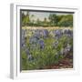 Above the Blue Irises-Timothy Easton-Framed Giclee Print