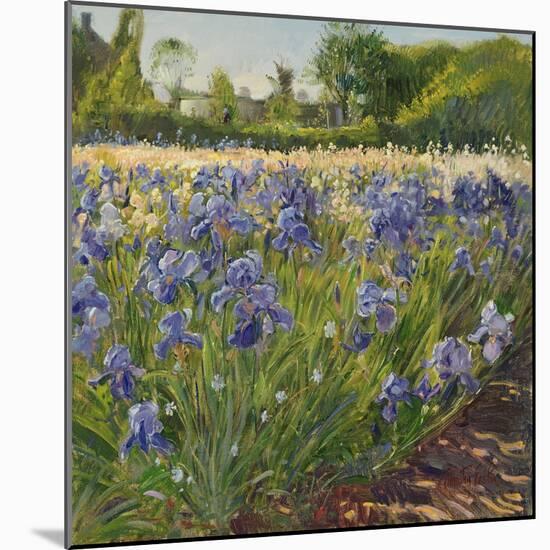 Above the Blue Irises-Timothy Easton-Mounted Giclee Print