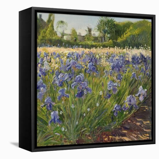 Above the Blue Irises-Timothy Easton-Framed Stretched Canvas