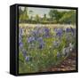 Above the Blue Irises-Timothy Easton-Framed Stretched Canvas