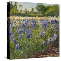 Above the Blue Irises-Timothy Easton-Stretched Canvas